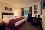 Coastal Queen - Jacksonville Plaza Hotel & Suites