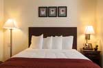 Coastal Queen - Jacksonville Plaza Hotel & Suites