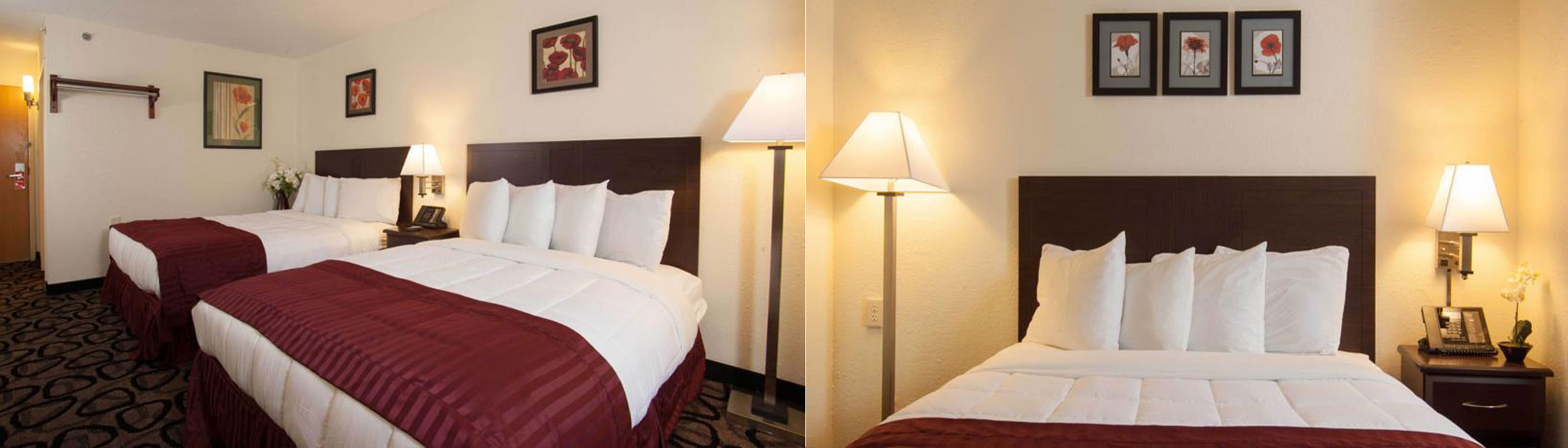 Jacksonville Plaza Hotel and Suites Rooms